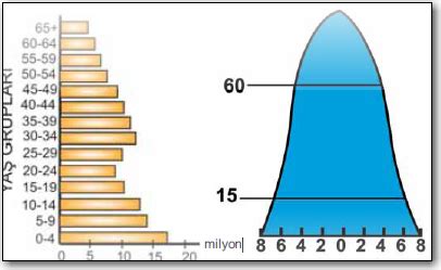 Çan şeklindeki nüfus piramidi